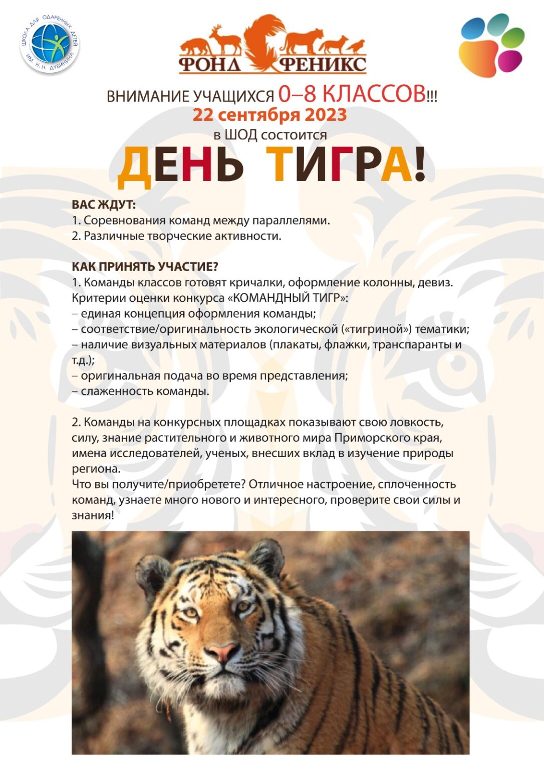 Расписание дня у тигрицы. Праздник амурский тигр. День тигра расписание. 29 июля международный день тигра открытки. Международный день день тигра.